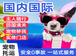 凤凰航空运输国际宠物托运 【国